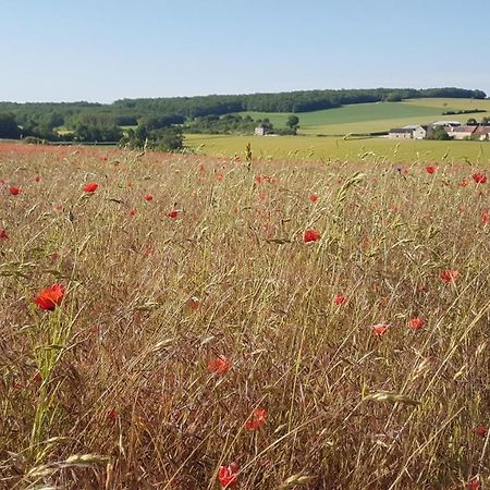 Charming Cottage In Chauminet Sougeres-en-Puisaye Bagian luar foto