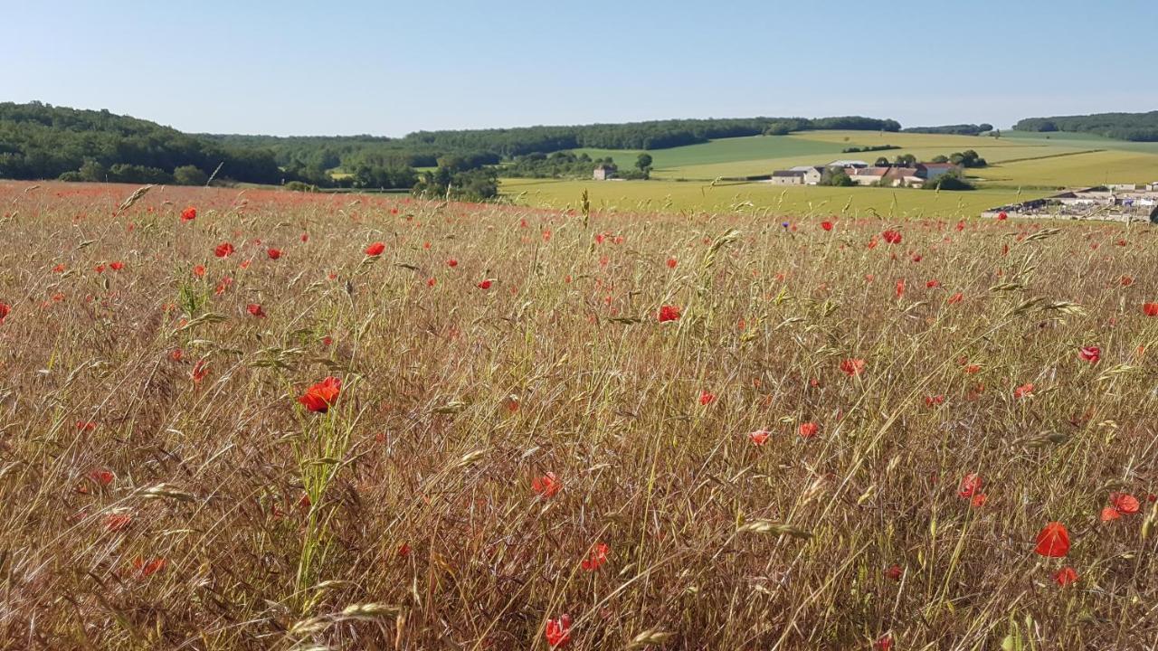 Charming Cottage In Chauminet Sougeres-en-Puisaye Bagian luar foto